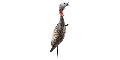 Flextone Funky Chicken Gen.2 Turkey Decoy