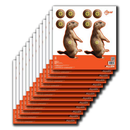 Allen EZ Aim Target 8 X 813 Pack