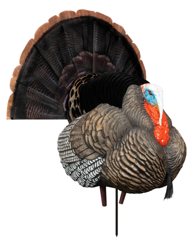 Higdon Outdoors Hard Body Apex Strutter Turkey Tom Decoys