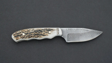 Silver Stag The Guide Fixed 2.5" Stag