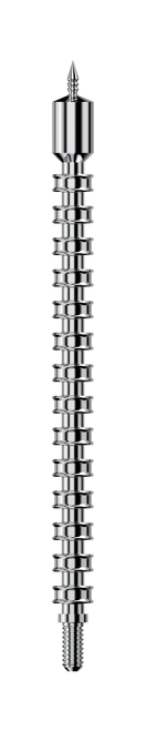 Real Avid Bore-Max Speed Jag 30 Caliber