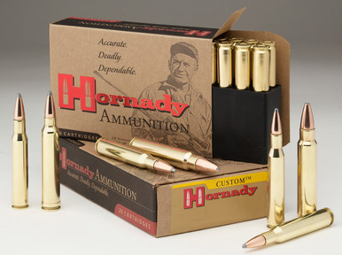 Hornady Custom 300 Blackout 110 Grain CX