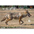 Allen EZ Aim Target 23 X 35 2 Pack view 3