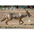 Allen EZ Aim Target 23 X 35 2 Pack view 6