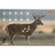 Allen EZ Aim Target 23 X 35 2 Pack view 2