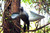 Mojo Wind Dove Decoy view 3