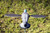 Mojo Pigeon Decoy view 2