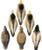 Higdon Outdoors Standard Mallard Floaters Decoys 6 Pack