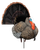 Higdon Outdoors Hard Body Apex Strutter Turkey Tom Decoys