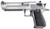 Magnum Research Desert Eagle Mark XIX 6" Stainless .44 Mag
