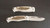 Silver Stag Liner Lock Lion Folding 4" Stag view 2