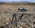 Adaptive Tactical Tac-Hammer RM4 FDE view 3