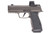 Sig Sauer P365 AXG Legion 9mm 3.1" Legion Gray