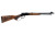 Savage Arms Revel DLX .22 WMR 18" Walnut 46120