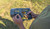 Caldwell Claycopter Disc 90mm view 10