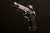 Custom & Collectable Firearms Kimber 1911 DS Warrior "Desert Camo" 9mm 5" Camo view 2