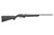 Mossberg 817 17 HMR Black view 2