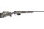 Bergara Terrian Wilderness 300 PRC Gray view 2
