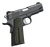 Kimber Pro TLE II 45 ACP view 2