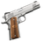 Kimber Stainless Raptor II 9mm