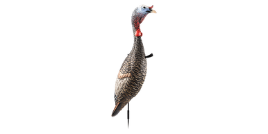 Flextone Funky Chicken Gen.2 Turkey Decoy