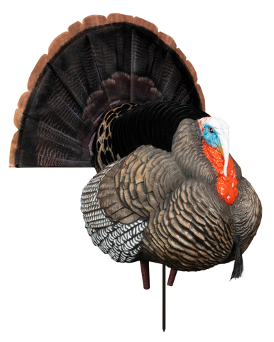 Higdon Outdoors Hard Body Apex Strutter Turkey Tom Decoys