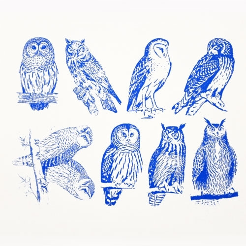 Owls