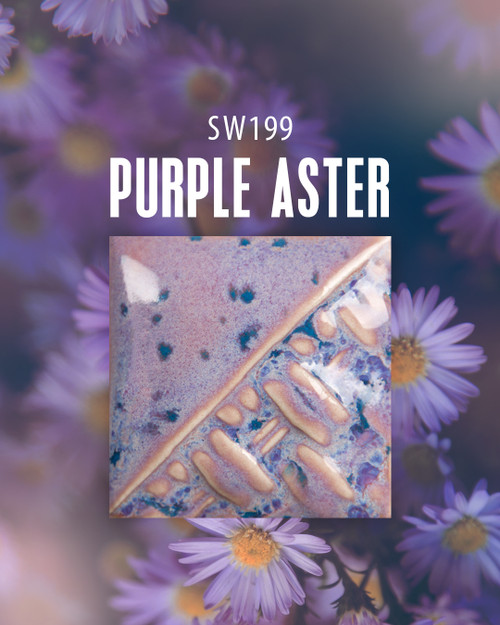 Purple Aster Pint