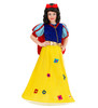 Fairy Tale Princess Costume