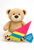Personalised Embroidery Teddy with Bib