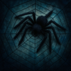 Black Spider