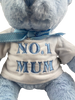 Mother's Day Blue Teddy Bear