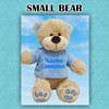 Personalised Embroidery Boys Communion Teddy (Small) - Add Your Name