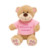 Personalised Embroidery Small Godmother Teddy Bear