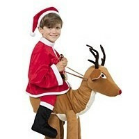 Boys Christmas Fancy Dress