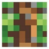 Minecraft TNT Party Supplies