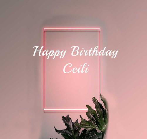 Personalised Pink Lights Bottle Labels (6 Pack)