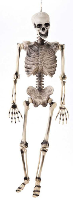 1.5m Skeleton Prop Decoration