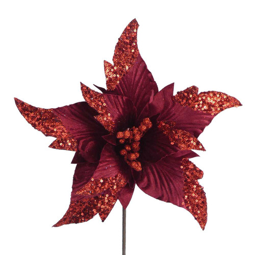 Red Flame Poinsettia