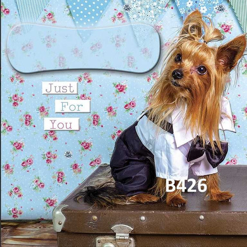 Personalised Yorkshire Terrier Card