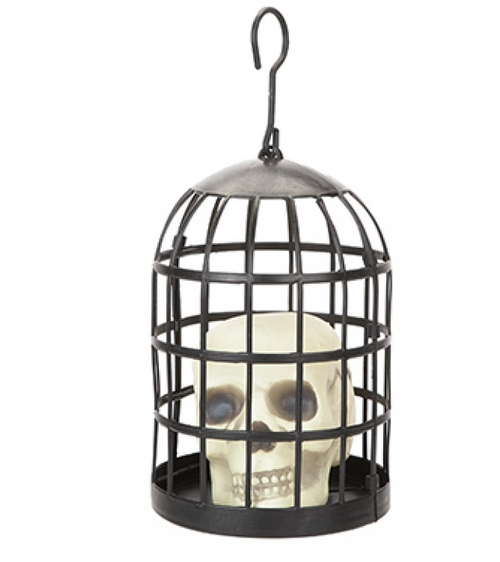 Caged Skull Decoration