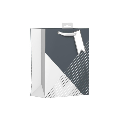 Geo Stripe Medium Gift Bag