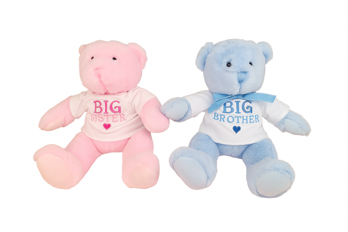 Personalised Sibling Embroidery Teddy