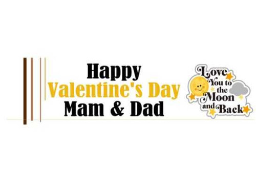 Personalised To The Moon & Back Banner