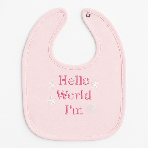 Personalised Hello World Pink Baby Bib