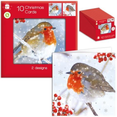 Merry Christmas Robin Cards | Christmas Cards