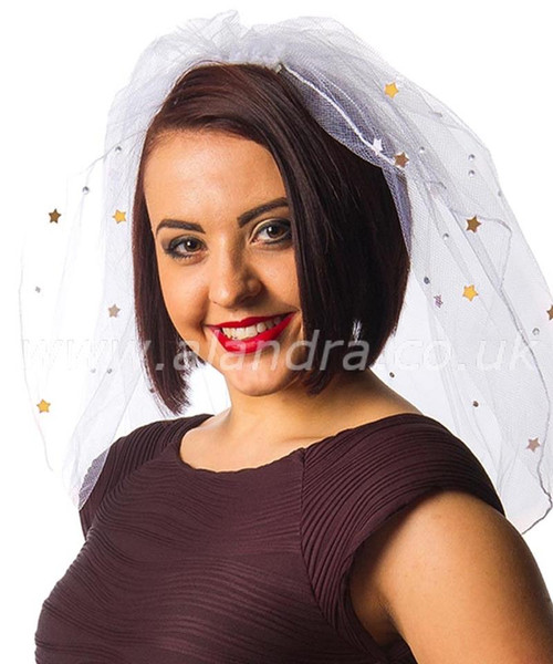 Hen Night Veil With Diamante Detailing
