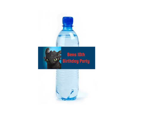 Personalised How To Train Your Dragon Water Bottle Labels