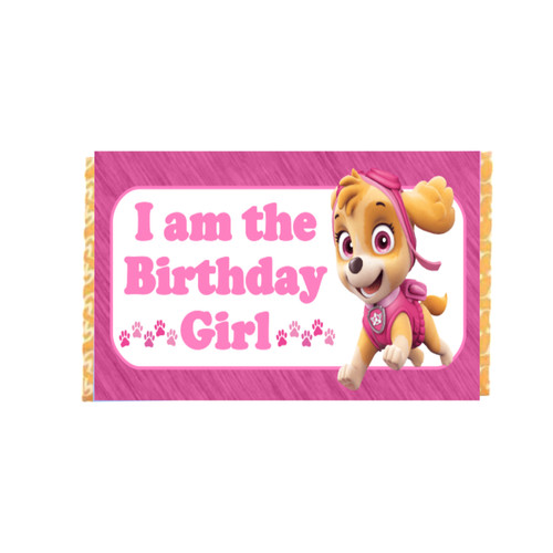 Paw Patrol Skye Chocolate Bar