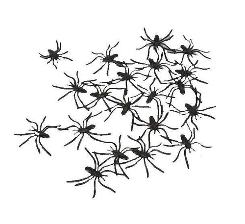 20 Pack Of Black Spiders